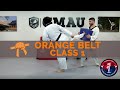 Taekwondo - Orange Belt Follow Along - Class 1