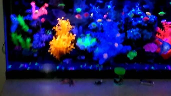 GloFish *55* Gallon AQUARIUM 