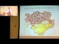 DNA Damage and Repair Pathways