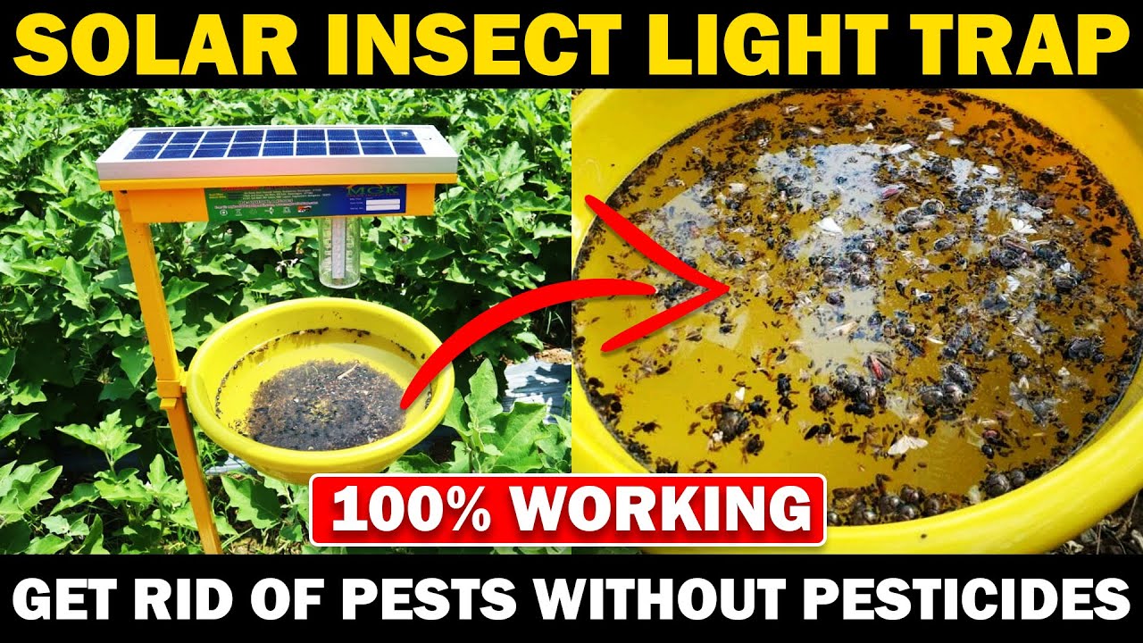 Got 'Em Solar Powered Pest Trap