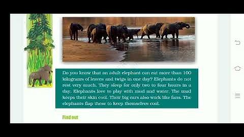 NCERT CLASS-4 EVS CHAPTER-3 "A DAY WITH NANDU" PART-2