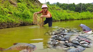 Using a fishing net to catch fish, the girl caught many big and delicious fish.