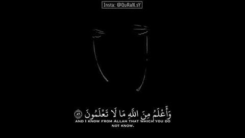 #قرآن_كريم حالات واتس اب اسلامية 🌹 تلاوة خاشعة ارح سمعك / مقاطع انستغرام دينية 🌿