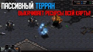 видео: Старкрафт Т VS Z Японский любитель мехов(трансформеров) справится ли с ультралами и зерглингами? картинка: Старкрафт Т VS Z Японский любитель мехов(трансформеров) справится ли с ультралами и зерглингами?