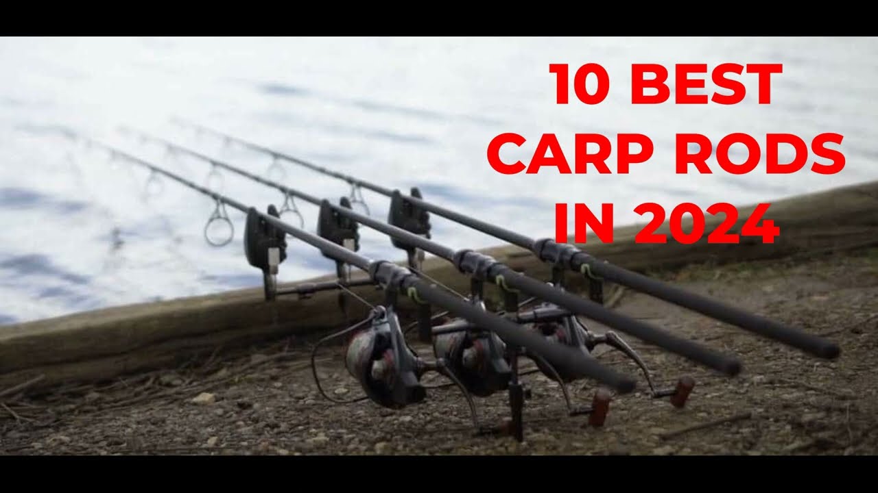 10 BEST CARP RODS IN 2024 