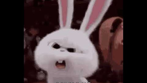 Episode 55 - BUN a clever replacement for NodeJS