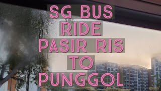 Bus ride from Pasir Ris to Punggol. #singapore #singaporepublictransport #bus #sbstransit screenshot 3