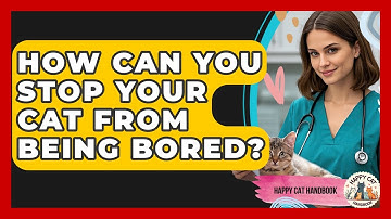 How Can You Stop Your Cat From Being Bored? - Happy Cat Handbook