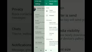 How To Delete Chat History On WhatsApp | WhatsApp Chat History Delete #shorts #viralshorts #viral screenshot 4