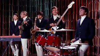 Watch Dave Clark Five Whenever Youre Around video