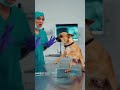 #comedyshorts #funny #petshorts #pets