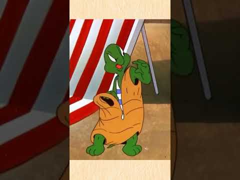 <strong>거북이</strong> <strong>등껍질</strong> 속엔 무엇이 있을까?