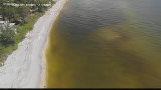 Un report: nature is in worst shape human history | 10news wtsp