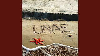 UNAE