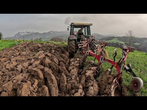 видео: Весняна оранка під картошку на фермі у Швейцарії