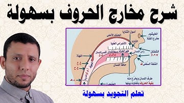 مخارج الحروف وصفاتها التجويد الميسر