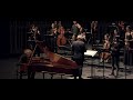 Haydn Concerto D-Major, Mov. 1 Cadenza, Lucas Blondeel Fortepiano, Anima Eterna/Jos Van Immerseel