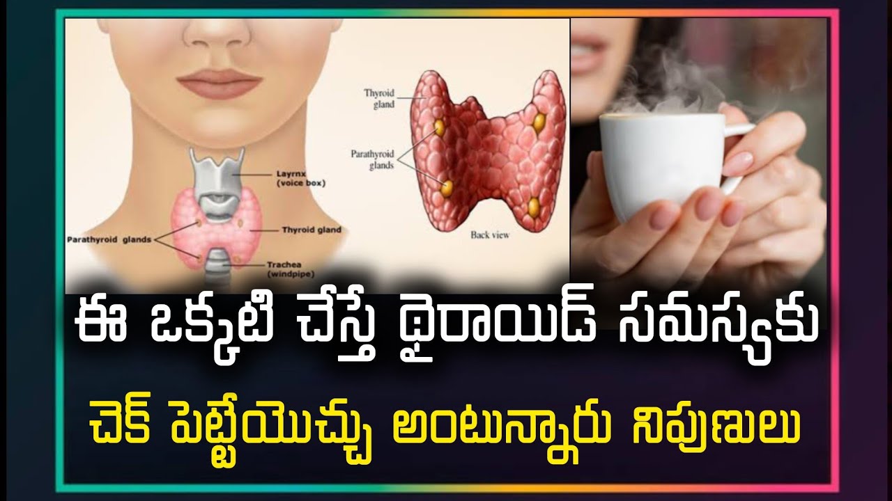 ఈఒక్కటి చేస్తే థైరాయిడ్ సమస్యకు చెక్ పెట్టేయొచ్చు అంటున్నారు నిపుణులు Thyroid Problems Amazing Facts