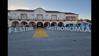A ternura das 40 edições do Festival Nacional de Gastronomia de Santarém