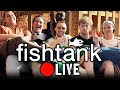 Alex stein crashes sam hydes fishtank live  ep 140