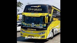 Kimcil kepater versi foto bus stj