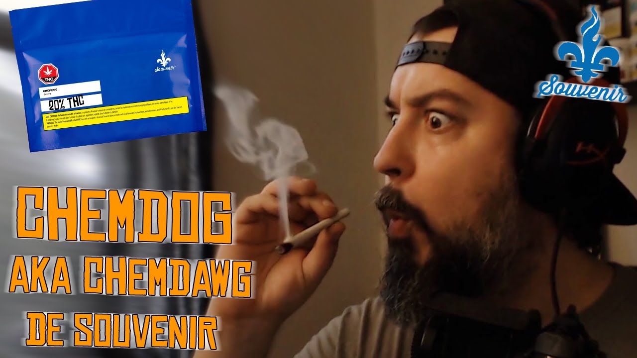 Review CHEMDOG de Souvenir !! Chemdawg 20% THC SQDC weed test cannabis review pot