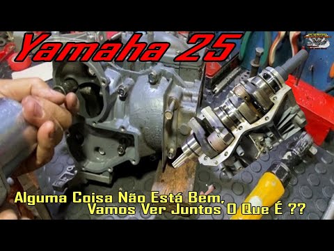 Yamaha 25 HP With “Knocking” In The Engine, Let’s See What It Could Be?