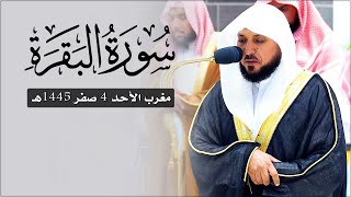 بُكاء الشيخ د. ماهر المعيقلي في تلاوة كُردية مؤثرة لأواخر سـورة البقرة | مغرب الأحد ٤-٢-١٤٤٥هـ