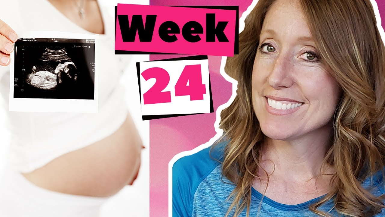 24 Weeks Pregnant And What To Expect | 24 Weeks In Months Plus 24 Week Ultrasound.