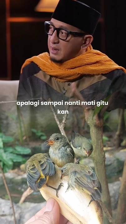 Hukum Memelihara Burung Menurut Islam