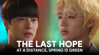 [ENG SUB] Park Ji-hoon is the last hope of Bae In-hyuk | At a Distance, Spring is Green 멀리서 보면 푸른 봄