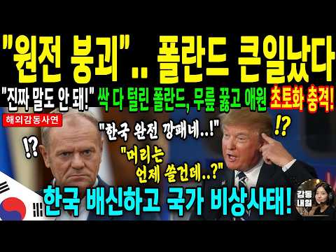 한국 원전 걷어차고 쑥대밭된 폴란드, 충격적 이유. 미국만 믿다가 체코에 싹 다 뺏기고 초토화 | 해외감동사연