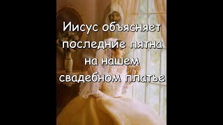 Иисус объясняет последние пятна на нашем свадебном платье Иисус объясняет последние пятна на нашем свадебном платье
