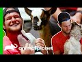 🔴 The Most Heartwarming Animal Moments | Saved By The Barn