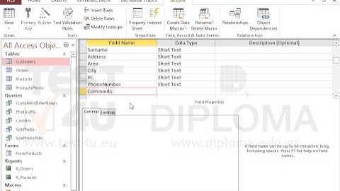 Insert one more field named Comments at the end of the Customers table that will allow entering...