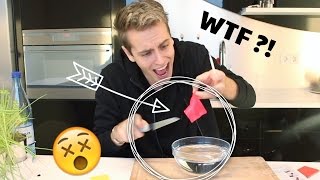 Ich teste MAGISCHES PLASTIK, das die Form verändert   | Julienco