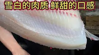 今天的脆肉鲩鱼特别脆，吊过水的肉质很雪白，非常适合做鱼生刀工 杀鱼技术 脆肉鲩