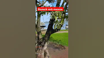 Indio Kiwe La Bismack Rock Ya Mwanza Kwa Utali WA Ndani Ya Ziwa Victoriay Mwanza Tanzania Africa 