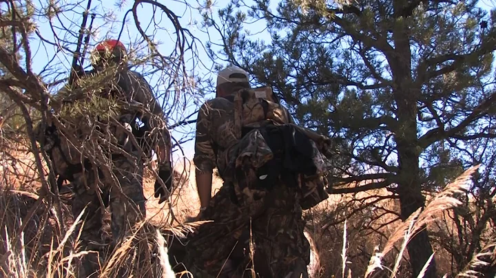 S2E2 Part 2: Candy Yow's Arizona Rifle Elk Hunt