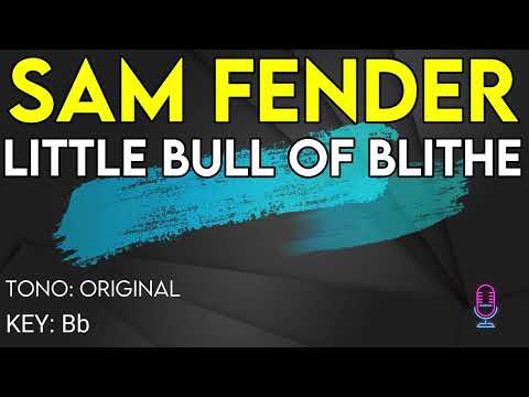 Sam Fender - Little Bull Of Blithe - Karaoke Instrumental