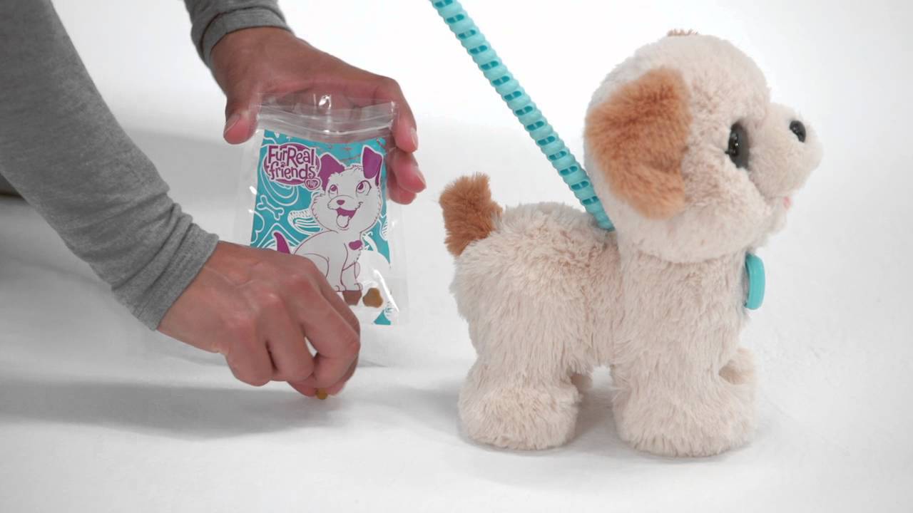 stuffed animal on a stick leash