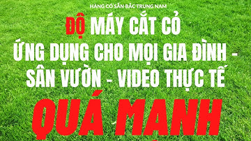 Độ Máy Cắt Cỏ Sân Vườn Chạy Điện Gia Đình Mà Ngôi Nhà Nào Cũng Nên Có