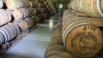 Quelle distillerie visiter en Martinique ?