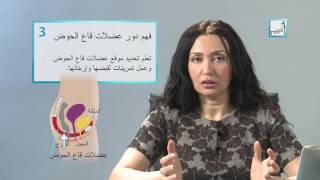 Afham TV With Alyaa Gad | Vaginismus التشنج المهبلي