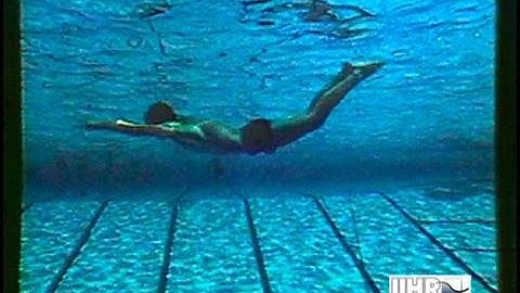 Introduction to the Study of Fluid Motion (1961)