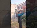 Basketball throw from behind #basketball #nba #shorts #rayandojo