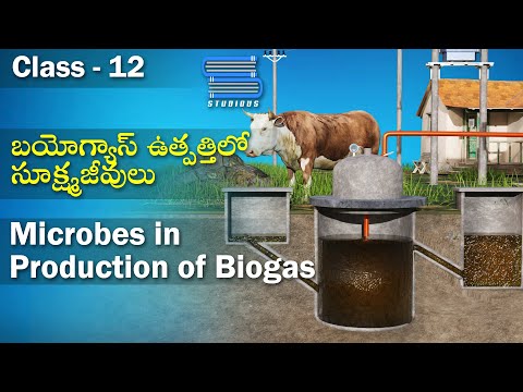 Microbes in Production of Biogas – Microbes in Production of Biogas | Biology Telugu | Class 12