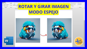 Cómo GIRAR y VOLTEAR una IMAGEN en WORD
