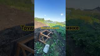 Работа в огороде. Крестьянские будни #лпх #кфх #farming #village #nature #vlog #blog #business