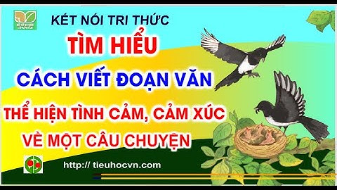 Tìm hiểu cách viết đoạn văn nêu tình cảm, cảm xúc | Tiếng Việt 5 Tuần  12 Bài 21  trang 108 Kết nối